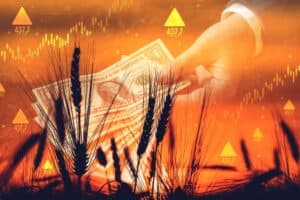 Master Commodity Trading with Expert Market Insights