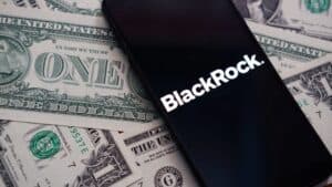 BlackRock Shareholders Key Institutional Owners